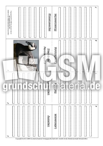 Faltbuch-Nonnengans.pdf